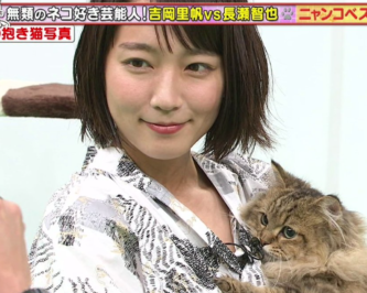 吉岡里帆は重度の猫好き 猫スカート 猫語 飼い猫15匹 画像 きいろピックアップ