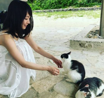 吉岡里帆 猫好き