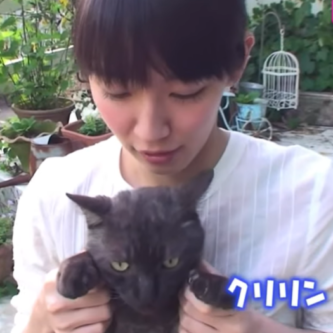 吉岡里帆 猫好き