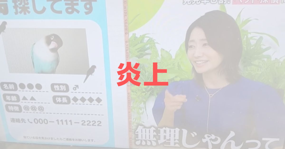 眞鍋かをり　ネコいぬワイショー　動画　炎上　問題発言　迷い鳥　チラシ