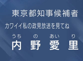 内野愛里　炎上　脱い　wiki　経歴　学歴　大学　政見放送　プロフィール　職業