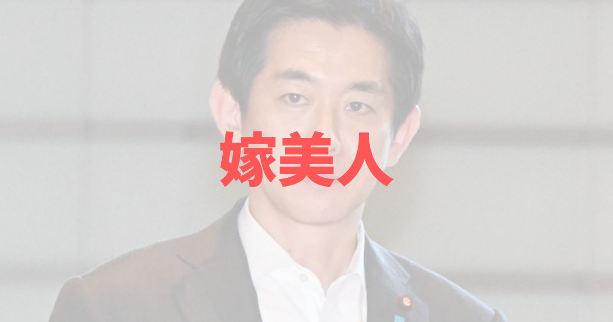 小林鷹之 妻 弁護士　嫁　顔　美人　コバホーク　総裁選　経歴　仕事　大学