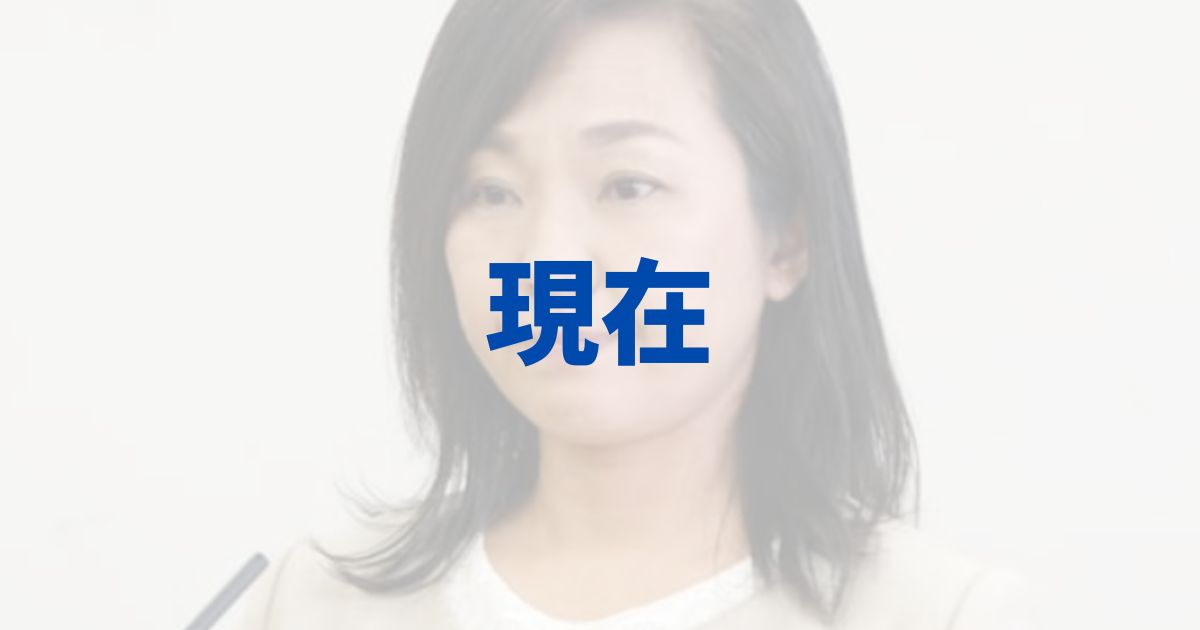 稲村和美　兵庫県知事　選挙　経歴　プロフィール　現在　仕事　職業　2023年　何してた　前尼崎市長