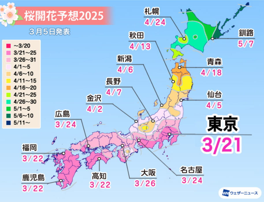 桜　開花予想　2025年　お花見　いつからいつまで　シーズン　見ごろ　全国　エリア　東京　大阪