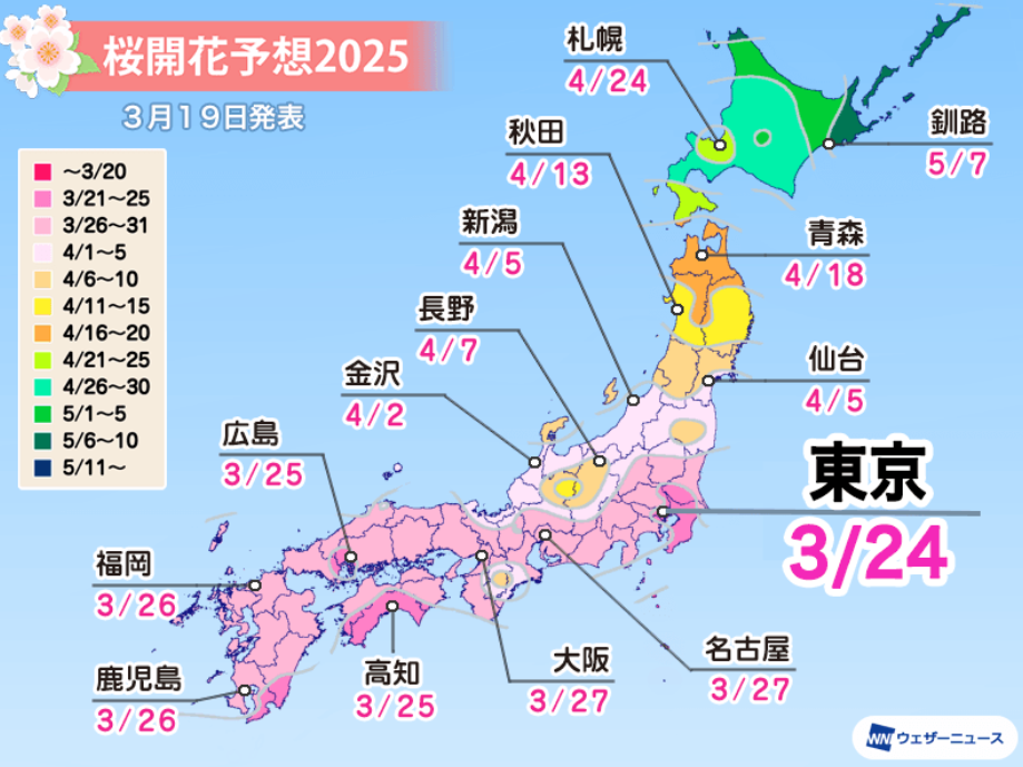 桜 開花予想 2025年 お花見 いつからいつまで シーズン 見ごろ 全国 エリア 東京 大阪
